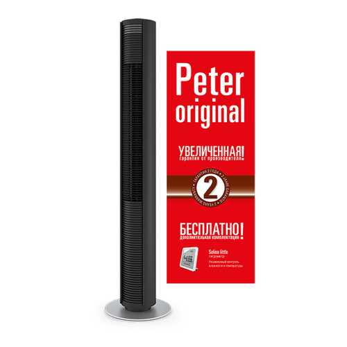 Вентилятор Stadler Form Peter ORIGINAL P-013OR Black в Телемакс